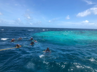 Divers active in the water