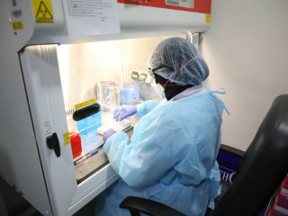 ކޮވިޑް-19 އަށް ސާމްޕަލް ޓެސްޓް ކުރަނީ