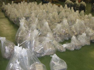 އެސެކްސް ބަނދަރުން އަތުލައިގަތް މަސްތުވާތަކެތި މީޑިއާތަކަށް ދައްކާލަނީ