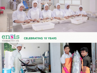 އެންސިސްގެ 50 މިލިއަން ޑޮލަރުގެ އިންވެސްޓުމަންޓުގެ ކުރިމައްޗަށް، \"ފަނާގަލެއް\" ވެއްޓިފައި!