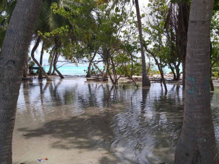 ރާއްޖޭގެ ރަށަކަށް ރާޅު އަރާފައި