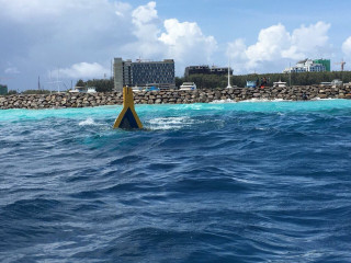 \"ދުވެލި\" ނަމަކަށް ކިޔާ ދޯންޏެއް ބަންޑުންޖެހުން