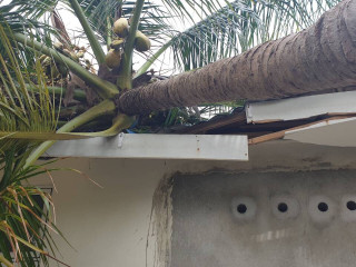 ދާންދޫގައި ގެއްލުންވި ގެ