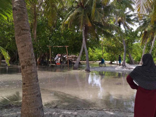 ރާއްޖޭގެ ރަށަކަށް އުދައަރާފައި