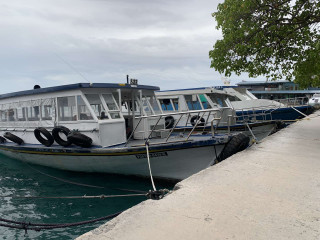 Boats docked at a harbor