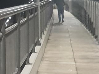 އަފްޝަން އަށް ޖިންސީ ފުރައްސާރަ ކޮށްފައިވަނީ ސިނަމާލެ ބްރިޖްމަތިން