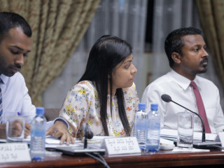 މިނިވަން މުއައްސަސާތަކުގެ ކޮމިޓީ