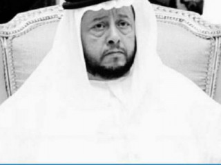 ޝައިޚް ސުލްތާން ބިން ޒާޔިދު އަލް ނަޙްޔާން