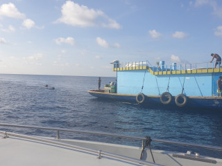 މާފުށި ކައިރިން ހިނގި އެކްސިޑެންޓް