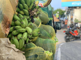 ފިހާރައަކަށް ގެންދަން ބަރުކޮށްފައި ހުރި ކާބޯތަކެތި