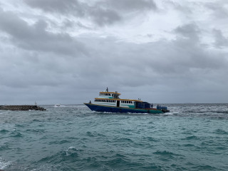 މޫސުން ގޯސް ދުވަހެއް