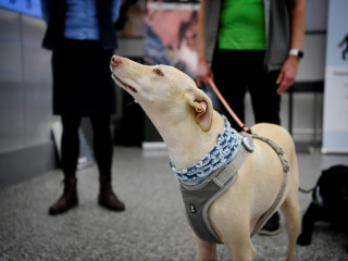 ތިން ކުއްތާ މަސްދުވަހުގެ ތެރޭގައި 2،200 ފަސެންޖަރުން ޓެސްޓްކޮށްފައި