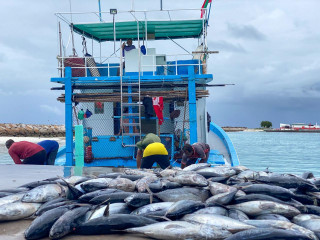 ރާއްޖޭގެ މަސް ދޯންޏަކުން ބާނާފައިވާ މަސް