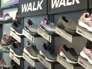 ސްކެޗާރޒް ބްރޭންޑްގެ ފްރެންޗައިޒް