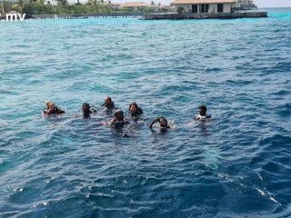 ގެއްލުނު ފަތުރުވެރިޔާ ހޯދުމުގެ މަސައްކަތުގެ ތެރެއިން