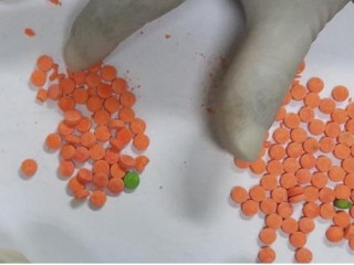 އެމީހާ އަތުން ފެނުނު މަސްތުވާތަކެތި