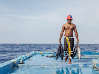 މަސްވެރިޔެއް