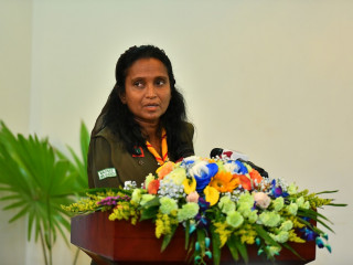 ނިއުމަތު ޝަފީގު