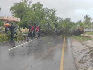 ބުރެވި ތޫފާނުގެ ސަބަބުން ލަންކާގެ އެކި ހިސާބުތަކަށް ވަނީ ގެއްލުންވެފައި