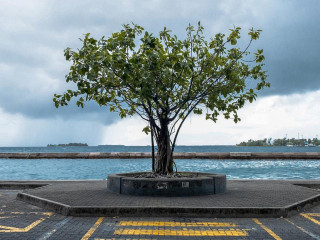 ކަނޑު ދަތުރު ކުރާ ފަރާތްތަކުން މޫސުމަށް ހާއްސަ ސަމާލުކަމެއް ދިނުމަށް ވަނީ އިލްތިމާސްކޮށްފަ