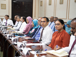 ވަޒީރުން، މިނިވަން މުއައްސަސާތަކުގެ ކޮމިޓީގައި