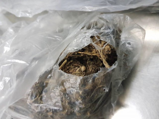 The drugs were found in his luggage and tested positive for cannabis