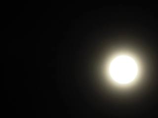 އިރު ކޭތަ ހިފައިފި