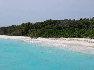 ރ ކުޑަކުރަތު، ކުޑަކުރަތުން ޕޮޒިޓިވްވެފައިވާ މީހުންގެ ތެރެއިން އެކަކަށް ފަރުވާ ދިނުމަށް ބ އަތޮޅު އޭދަފުށީގައި ހުންނަ ފެސިލިޓީއަށް ވަނީ ގެންދެވިފައި