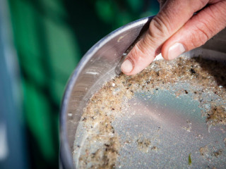 މައިކްރޯ-ޕްލާސްޓިކް އެންމެ ގިނަ ޤައުމަކަށް ރާއްޖެ - އެއް ސަބަބަކީ ރައްކާތެެރިކަމާއެކު ކުނި ނައްތާ ނުލެވުން!