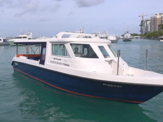 އަލްޝާލީމެރިންގެ ކޯސްޓް ކްރާފްޓް 38 ޕްލަސް