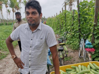 އެސްޓީއޯގެ މެނޭޖިން ޑިރެކްޓަރ ހުސެއިން އަމްރު