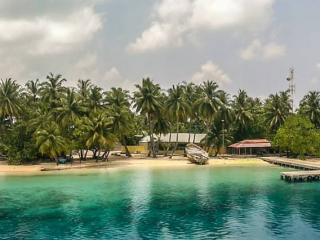 ފީއަލީގައި އައިސް ޕްލާންޓް ގާއިމްކުރުން