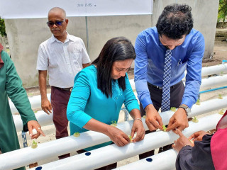 ހައިޑްރޮޕޯނިކްސް ގަސްހެއްދުމުގެ ތަމްރީން ޕްރޮގްރާމު އިފްތިތާހު ކުރުމުގެ ތެރެއިން