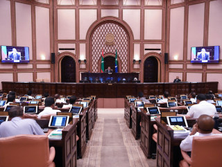 ރައްޔިތުންގެ މަޖިލީހުގެ ޖަލްސާއެއްގެ ތެރެއިން