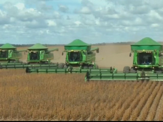 ބްރެޒިލްގެ ވަޒަންވެރިން ދަނޑުވެރިކަމުގެ ތެރެއަށް ވަންނަނީ