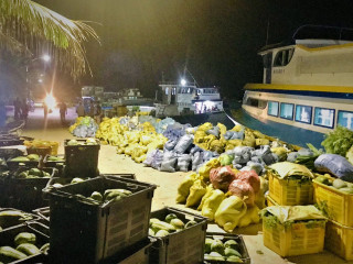 ކޮންމެ ރަމަޟާން މަހަކަށް ޚާއްޞަކޮށް ތޮއްޑޫ ދަނޑުވެރިން ގިނަ ޢަދަދެއްގެ ކަރާ ހައްދާ