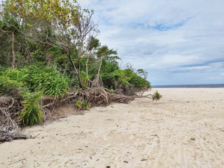 ބ. ކެޔޮދޫ ގޮނޑުދޮށަށް އަޅާފައިވާ ކުނިތައް ނަގާ، ސާފުކޮށްފައި