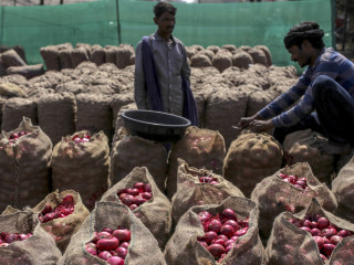 ރާއްޖެއަށް އެތެރެ ކުރާ ރަތް ފިޔާ؛ އިންޑިއާ އިން ރާއްޖެއަށް މެދުކެނޑުމެއް ނެތި ފިޔާ އެކްސްޕޯޓް ކުރަމުން ގެންދާނެ ކަމަށް ވަނީ ބުނެފައި