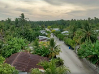 ގދ. ނަޑެއްލާ - ގަވާޢިދާ ޚިލާފަށް ރުއްގަސް ކެނޑުމާއި ގުޅިގެން އެރަށު ކައުންސިލް ވަނީ ޖޫރިމަނާ ކޮށްފައި