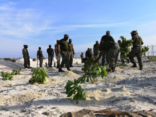 ހޯރަފުށި އެއާޕޯޓުގައި ގަސް އިންދުމުގައި އެމްއެންޑީއެފުން ހަރަކާތްތެރިވަނީ