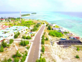 ވިލިފުށިން ޕޮޒިޓިވްވެފައިވަނީ ދެ އަހަރުގެ ކުޑަ އަންހެން ކުއްޖަކު