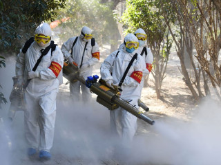 ކޮރޯނާވައިރަސް ވައިގެ ޒަރީއާ އިން ނުފެތުރޭ: ޑަބްލިޔު.އެޗް.އޯ