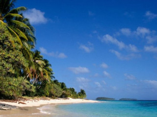 މާޝަލް އައިލޭންޑްގެ ގޮނޑުދޮށުގެ މަންޒަރެއް