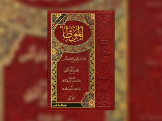 އެންމެ ފުރަތަމަ ލިޔެވުނު ހަދީޘް ފޮތް، އިމާމް މާލިކުގެ މުއައްޠާ