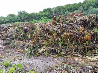 2019 ނިމުނުއިރު ގްރީން ފަންޑުގައި 468 މިލިއަން ރުފިޔާ