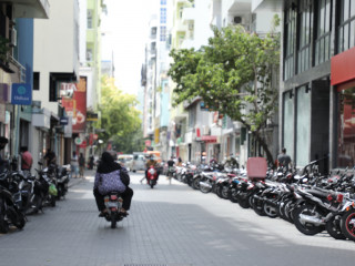 މާލެސިޓީގެ މަގުމަތި