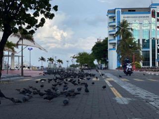 މާލެއިން ދިވެއްސަކު ޕޮޒިޓިވްވުމާ ގުޅިގެން މާލެ ސަރަޙައްދު ވަނީ ލޮކްޑައުންކޮށްފައި