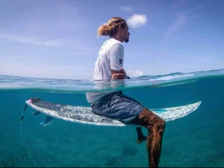 winner of the trial 2019