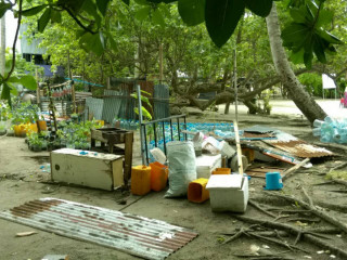 ވިލިމާލޭ \'\'ކިނބިވާ\'\' ސަރަހައްދުގައި ގަސް އިންދަމުންދާ ސަރަަހައްދެއް