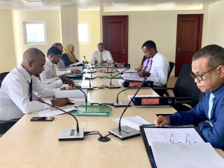 Government oversight committee meeting